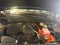 2025 Kia Sorento Hybrid SX Prestige