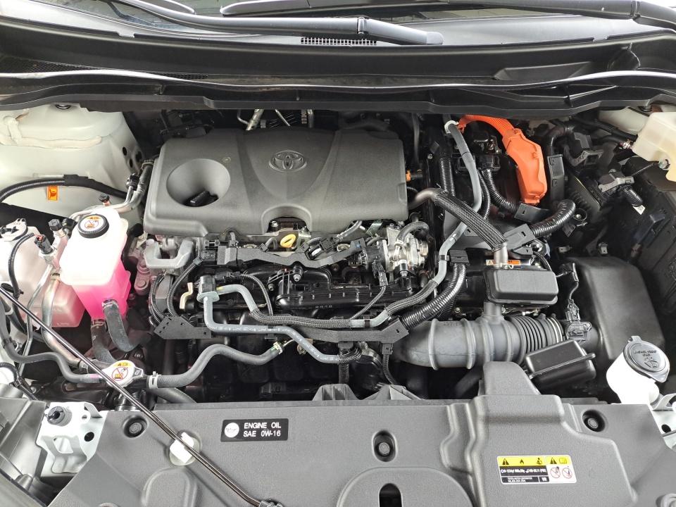 2025 Toyota Sienna LE