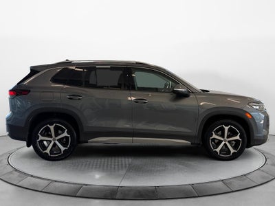 2025 Volkswagen Tiguan SE
