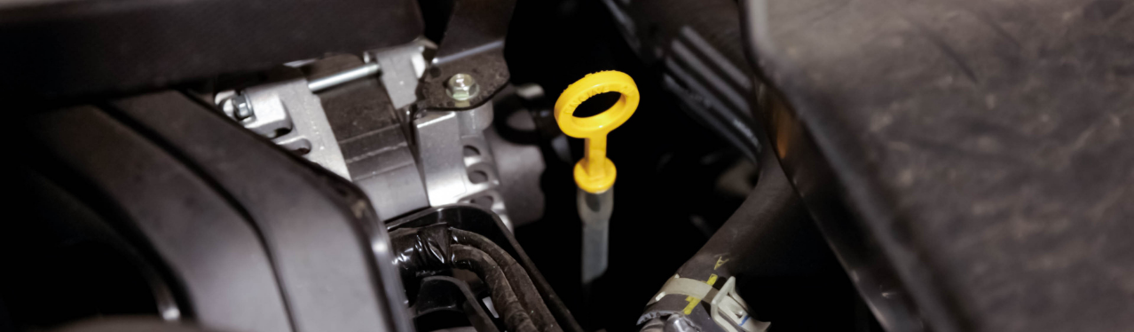 Any Oil Change